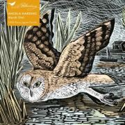 Flame Tree Publishing 1000 darabos puzzle, Angela Harding: Marsh Owl